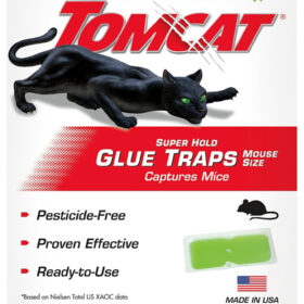 Tomcat 0362710 Mouse Glue Trap, 4/PK