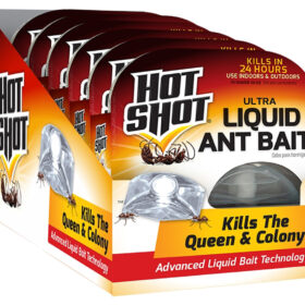 Hot Shot HG-95762 Ant Bait, Liquid
